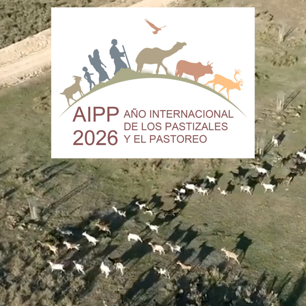 Año Internacional de los Pastizales y el Pastoreo (AIPP 2026)